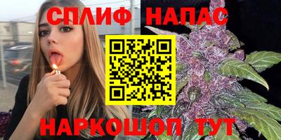 гашик Краснодар