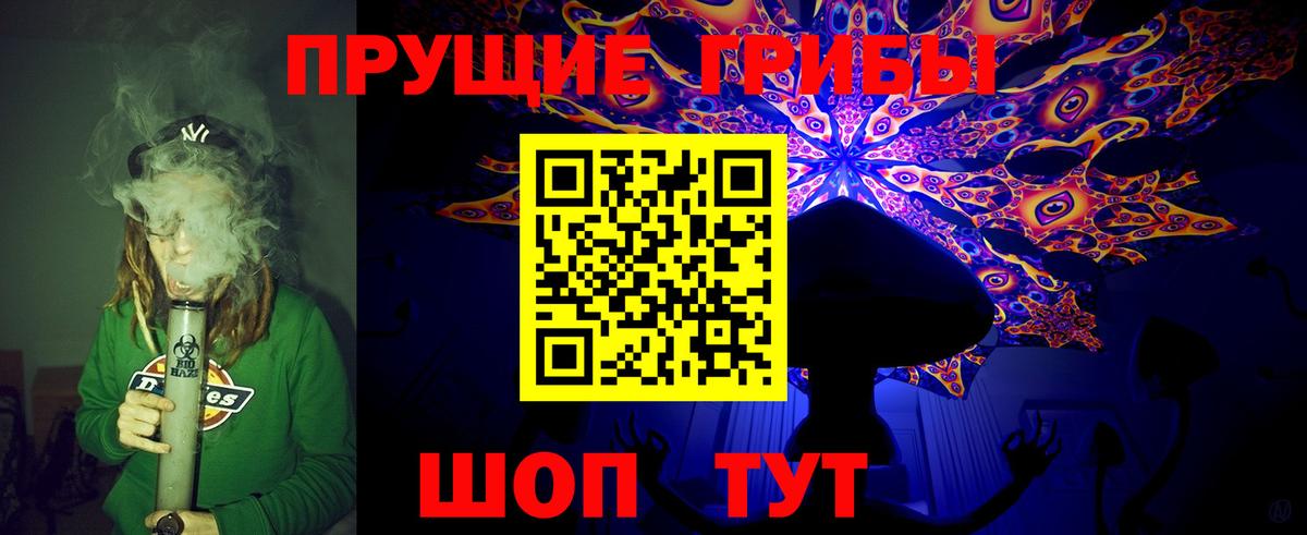 Псилоцибиновые грибы Psilocybine cubensis Когалым