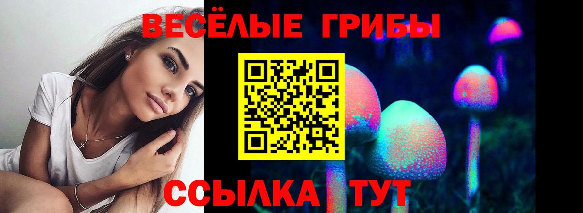 Галлюциногенные грибы Psilocybe  Вход с VPN  Когалым 